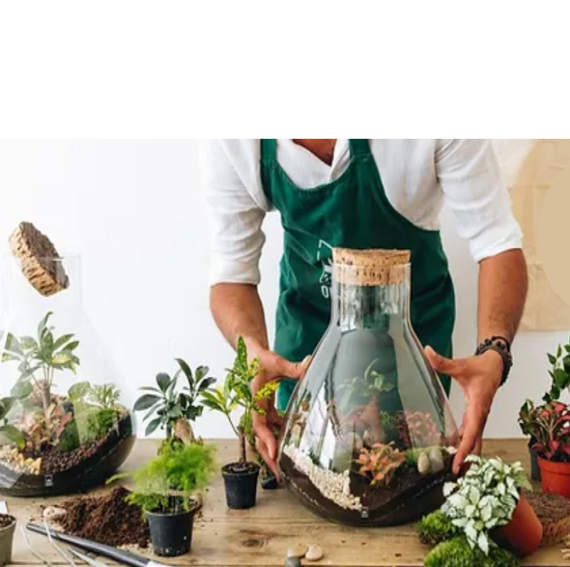 Atelier de création terrarium